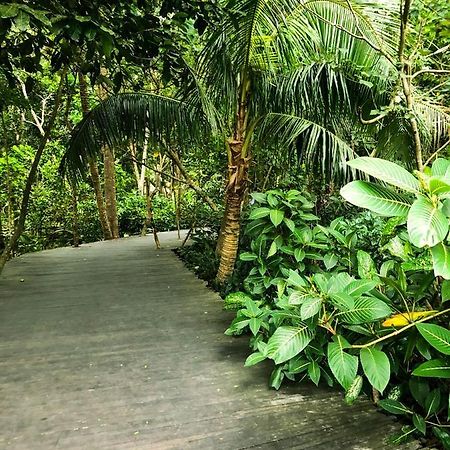 Rayshiva Homestay Ubud Buitenkant foto