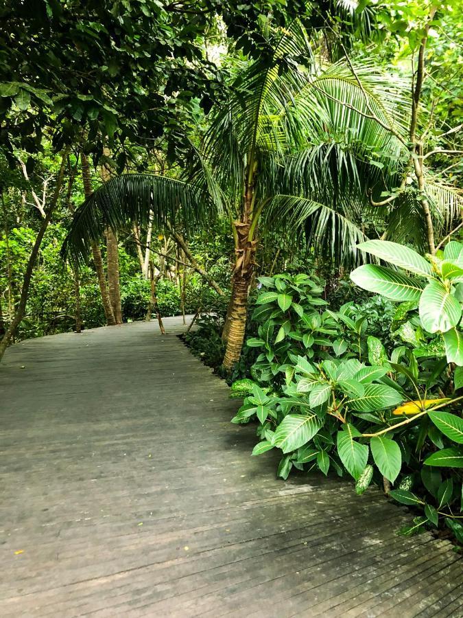 Rayshiva Homestay Ubud Buitenkant foto